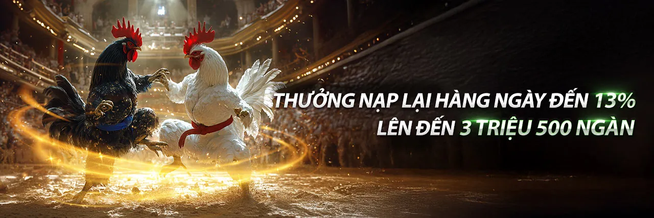 Sân đá gà trực tuyến sôi động tại nn88d