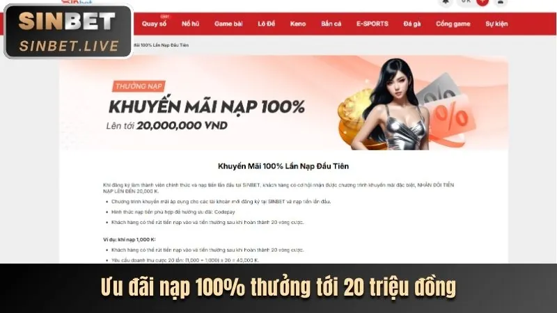 Chương trình VIP Bắn Cá NN88D